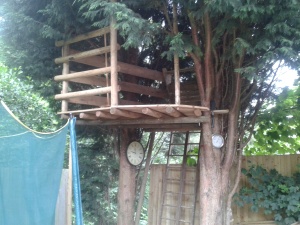 tree house rules...  "there aint no rules, there never was none, there aint never gonna be none"!!