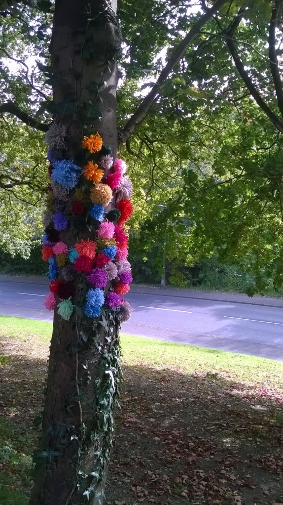 yarnpom in all it's splendour!