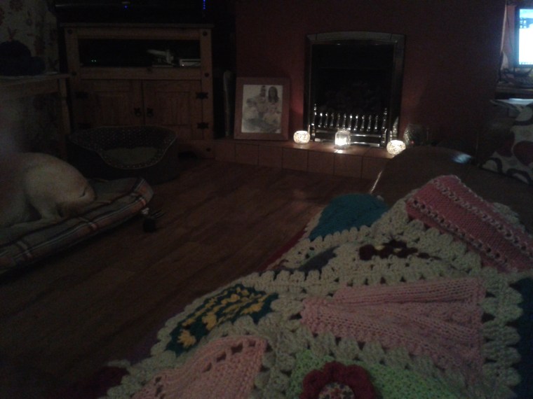 settling in for the evening