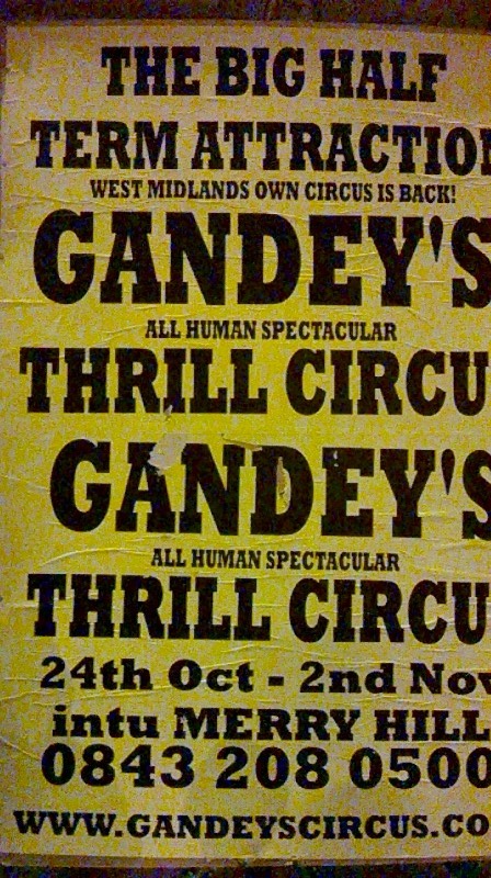 all thrill is an understatement!