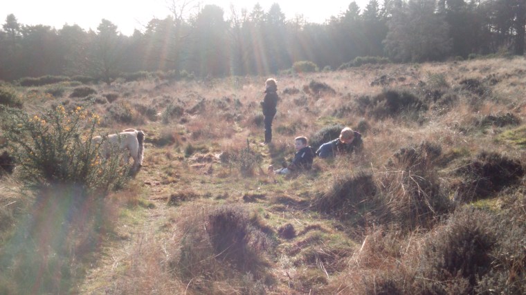 enjoying the very new spring sunshine