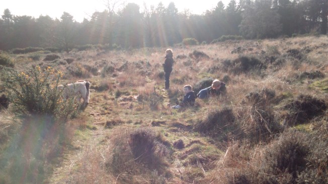 enjoying the very new spring sunshine