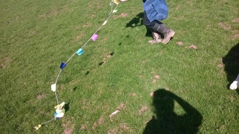 just perfect for kite flying