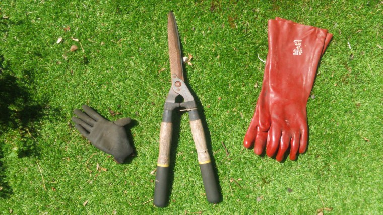 some chopping and pulling and a lot of elbow grease...