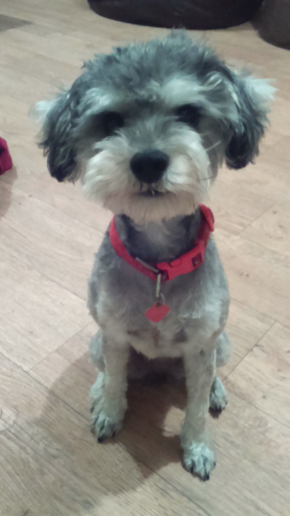 at 1 year old... still cute x