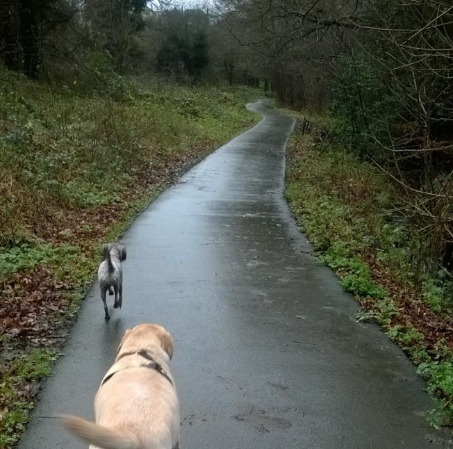 WP_20151221_13_55_18_Pro