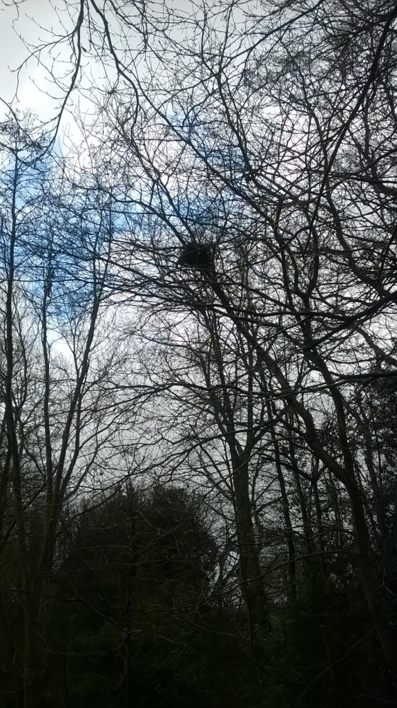 WP_20151221_13_55_56_Pro