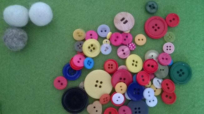 WP_20160131_10_58_26_Pro