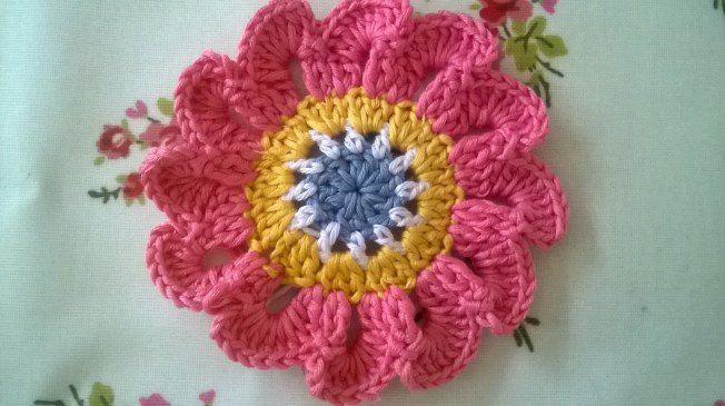 WP_20160131_13_27_35_Pro (1)