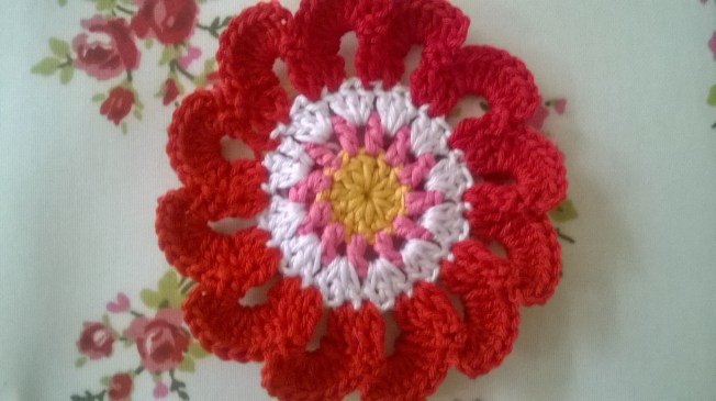 WP_20160131_13_28_01_Pro