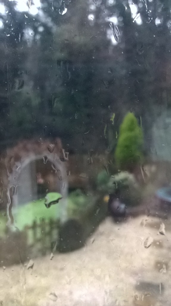 WP_20160206_15_18_12_Pro