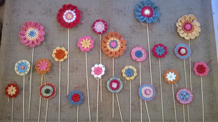 WP_20160206_15_39_27_Pro (1)