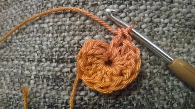 WP_20160225_20_58_30_Pro