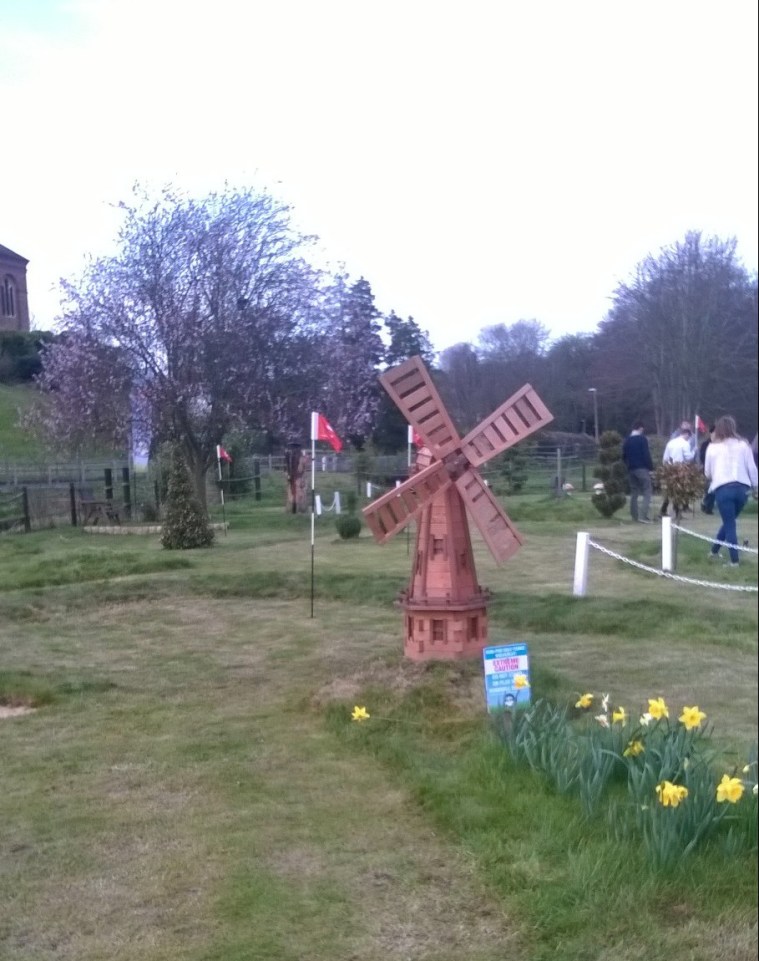 WP_20160325_14_50_11_Pro