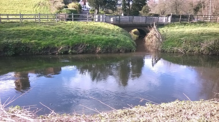 WP_20160325_15_27_50_Pro