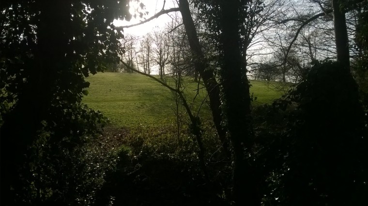 WP_20160325_16_45_13_Pro