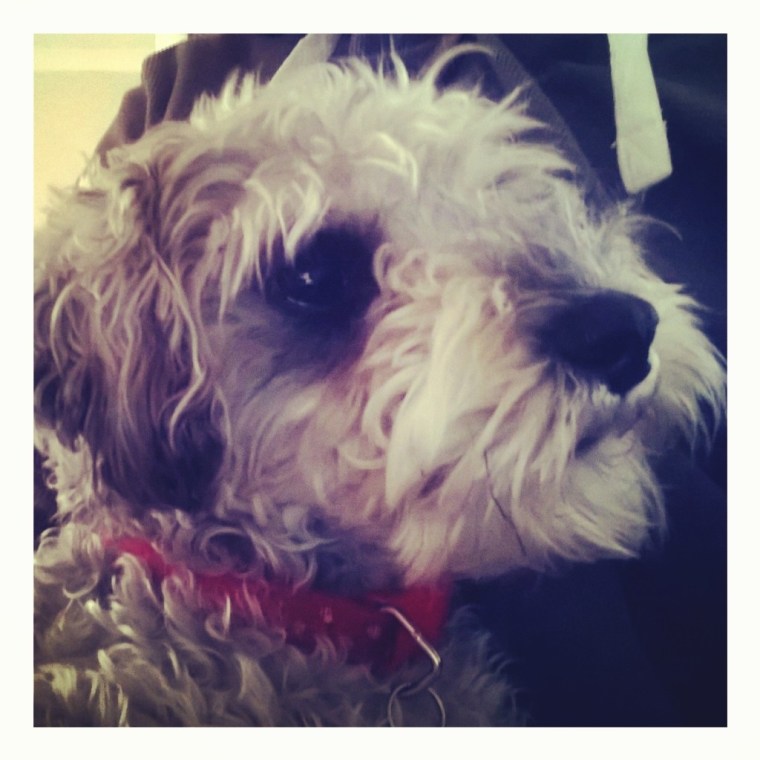 InstagramCapture_667771d3-e58c-4f57-9c2b-94035895cd52