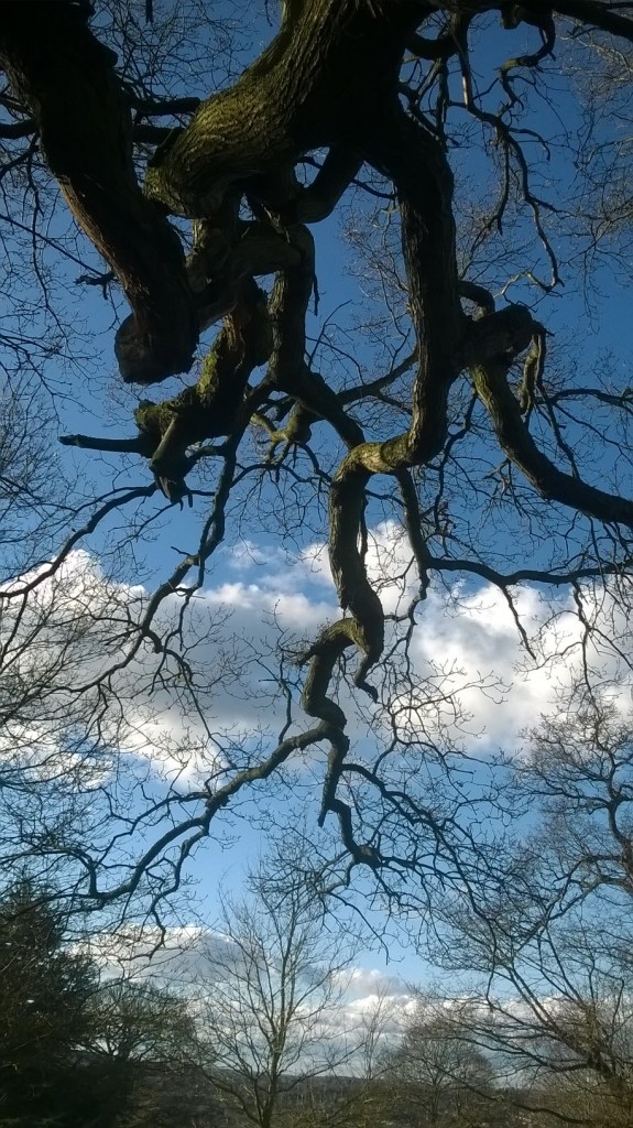 WP_20160330_18_00_22_Pro