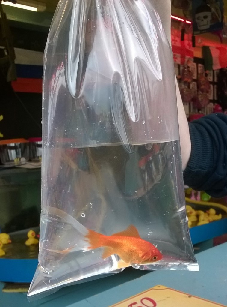 WP_20160401_15_35_43_Pro