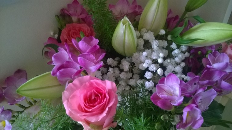 WP_20160412_10_29_05_Pro