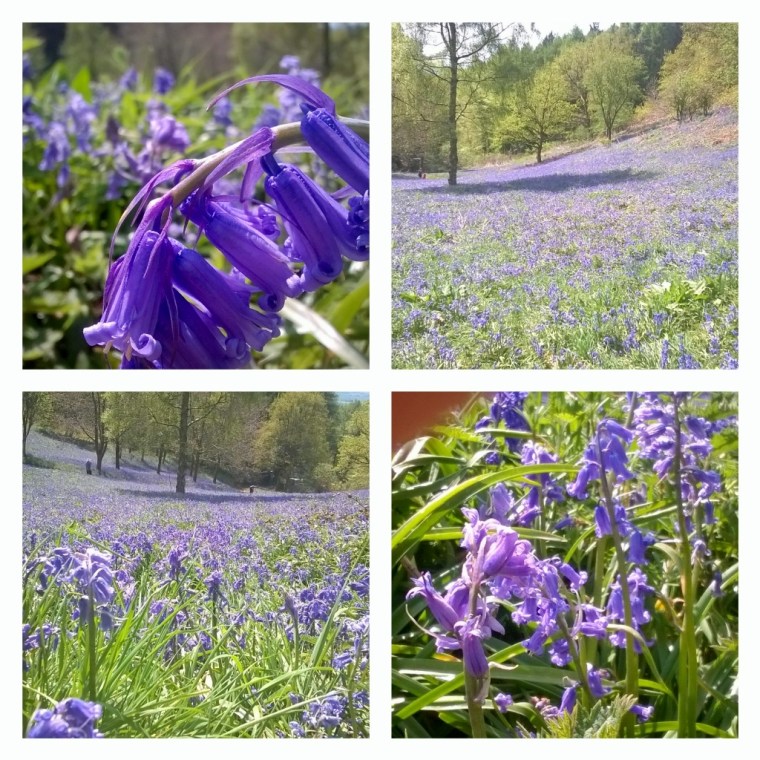 InstagramCapture_22a5323c-ec79-4014-80bd-80ce2c403647