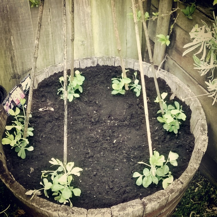 InstagramCapture_a67f65c3-81dd-499c-846b-a80462cd4a1f