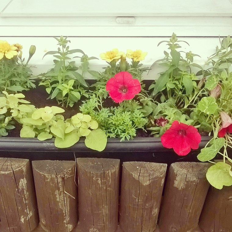 InstagramCapture_b6d64afd-0b4a-4864-8828-e74cdbf88b8a