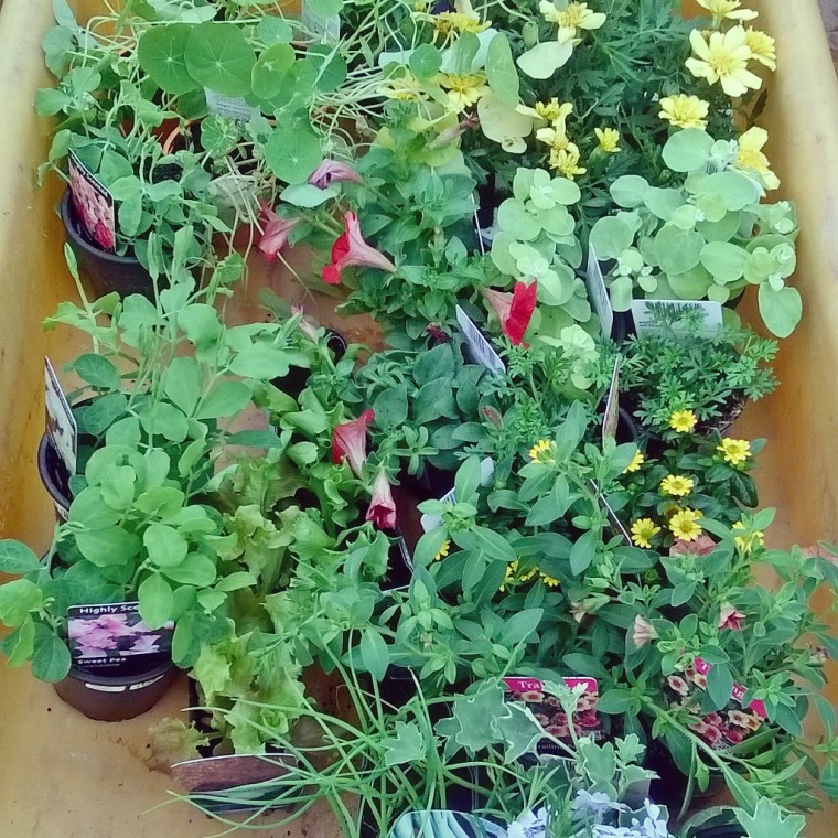 InstagramCapture_babf8757-c198-41f9-afa1-45e115b2ce33