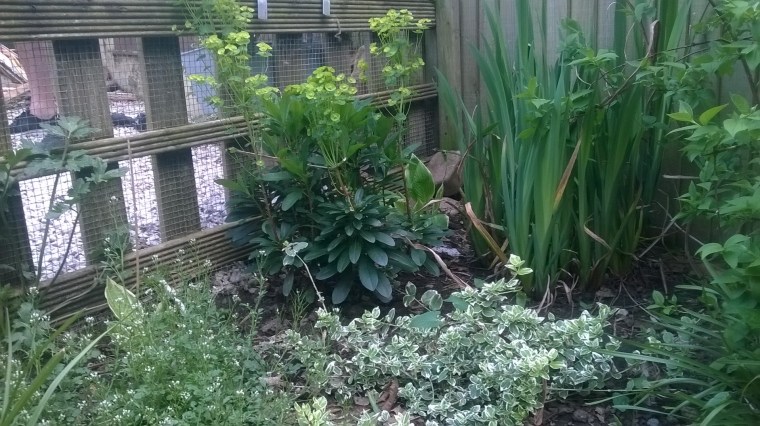 WP_20160508_17_47_48_Pro