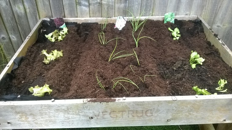 WP_20160514_18_21_27_Pro