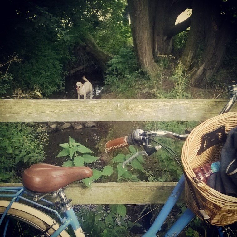 InstagramCapture_f7681672-3d28-4f73-89d4-39967061704b