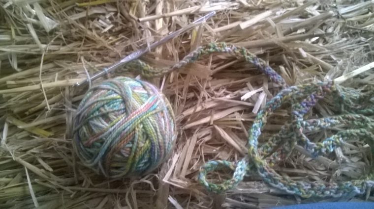 WP_20160817_19_35_55_Pro