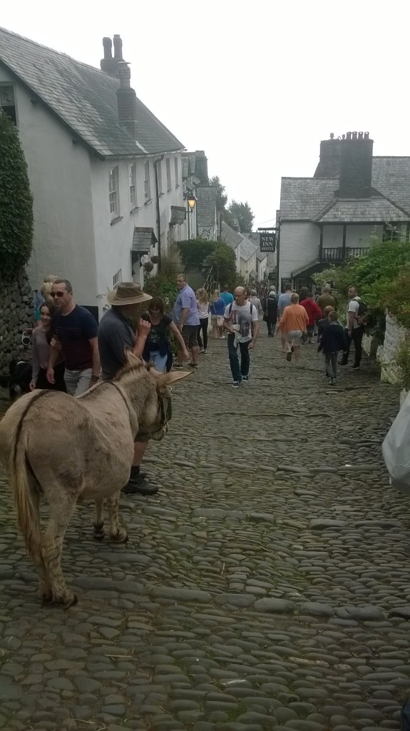 WP_20160818_12_59_15_Pro