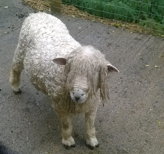 WP_20160820_15_21_49_Pro