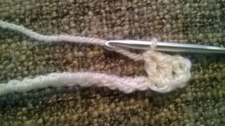 WP_20160829_16_53_44_Pro