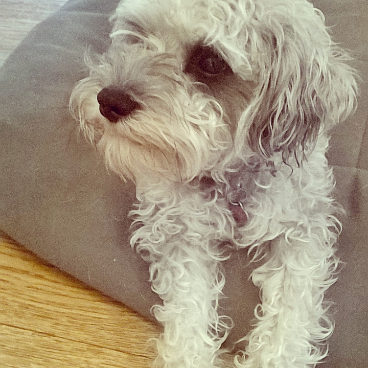 InstagramCapture_3735a626-ffcc-447a-8415-d1f7727bedbf