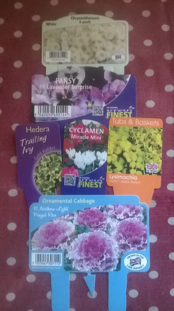 wp_20160907_18_35_41_pro