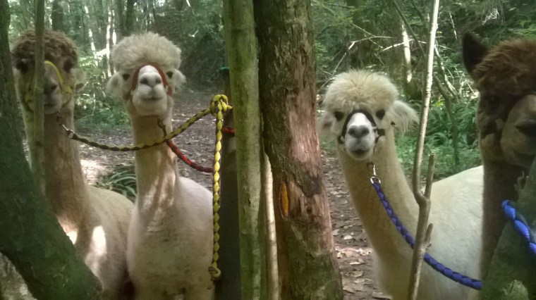 wp_20161015_12_33_50_pro