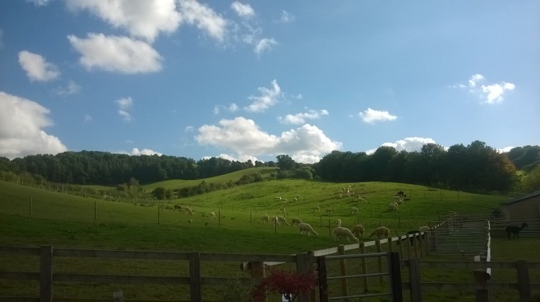 wp_20161015_13_51_54_pro