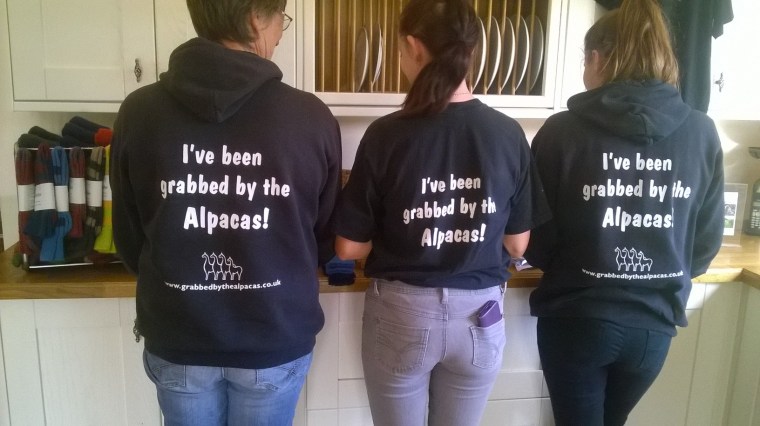 wp_20161015_14_41_13_pro