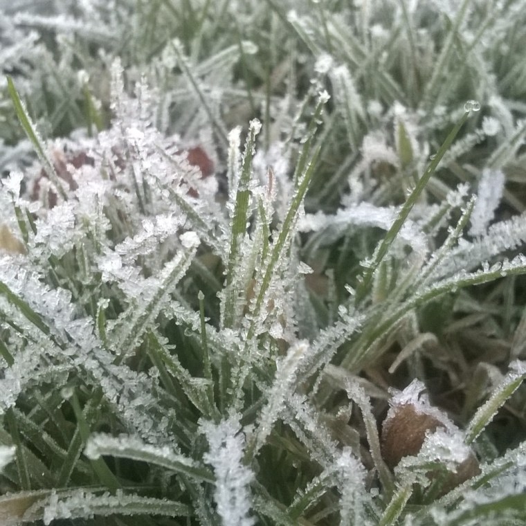 instagramcapture_f2cce533-ac92-4263-82b5-1ac12d7f5c73