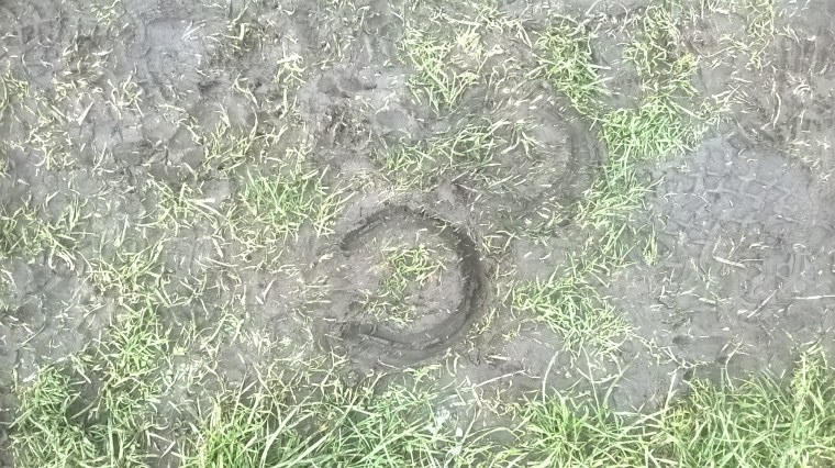 wp_20170108_14_40_01_pro