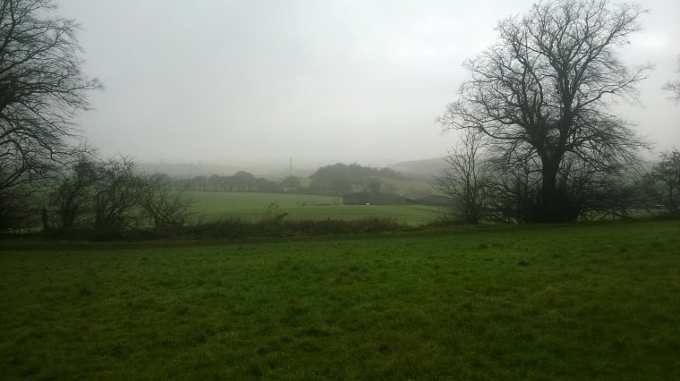 wp_20170108_14_40_42_pro