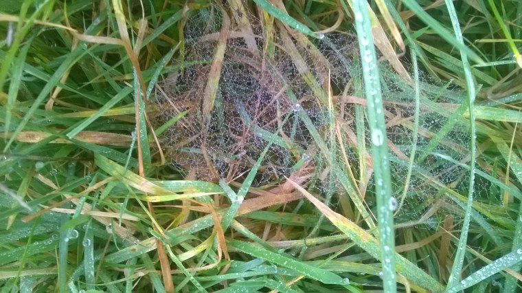 wp_20170108_14_45_14_pro