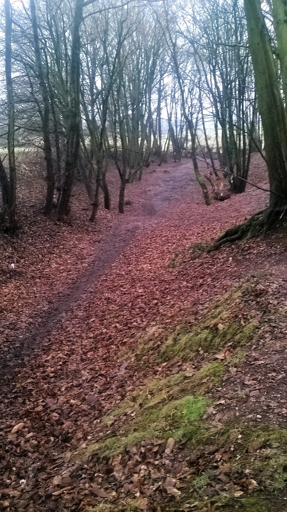 wp_20170108_14_56_16_pro