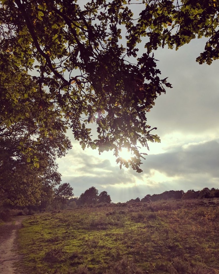 british countryside in autumn
