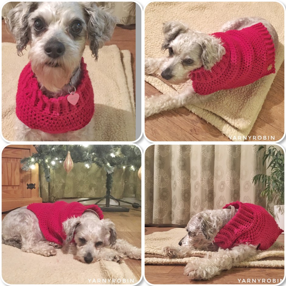 crochet dog sweater