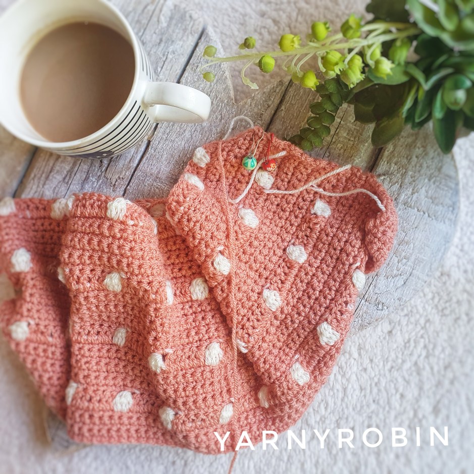 Crochet Baby Blanket